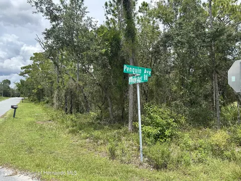 0 Penguin Ave, Weeki Wachee, FL 34614