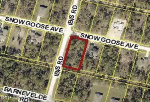 15282 Ibis Rd, Weeki Wachee, FL 34614