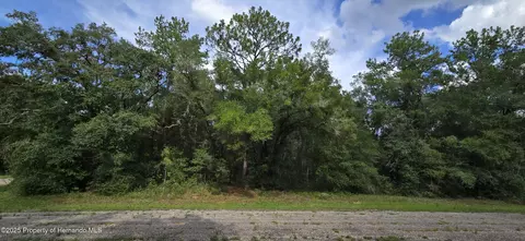 9427 N Lampson Ter, Citrus Springs, FL 34434