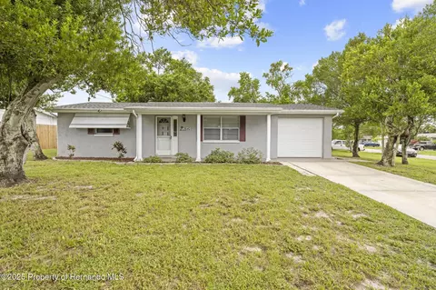 3640 Connon Dr, New Port Richey, FL 34652