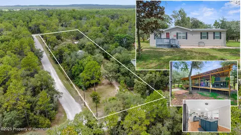 11648 S Rural Ter, Floral City, FL 34436