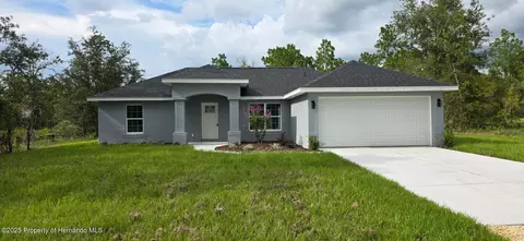 14045 Red Marlin Ave, Brooksville, FL 34614