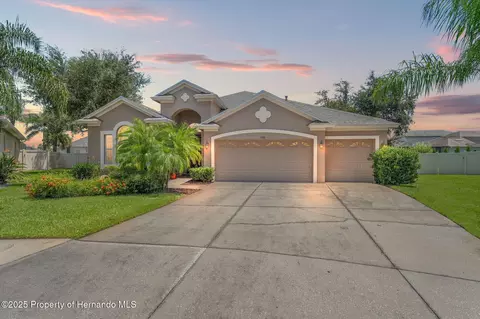 3331 Stonegate Falls Dr, Land O'lakes, FL 34638