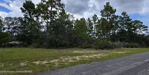 2899 W Santana Dr, Citrus Springs, FL 34434