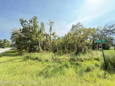 0 Marsh Wren Ave, Weeki Wachee, FL 34614