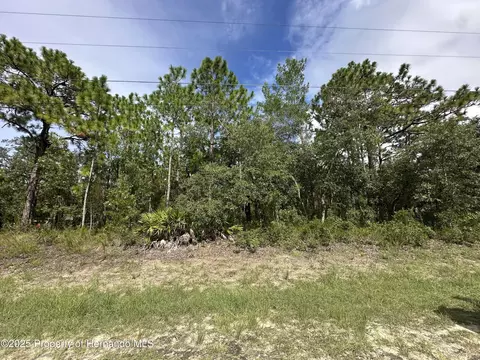 0 Magpie Rd, Weeki Wachee, FL 34614