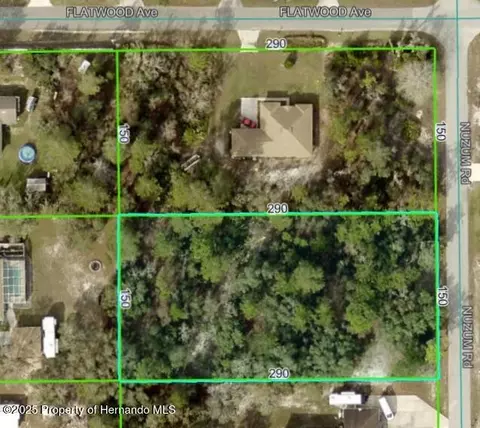 0 Nuzum Rd, Weeki Wachee, FL 34613