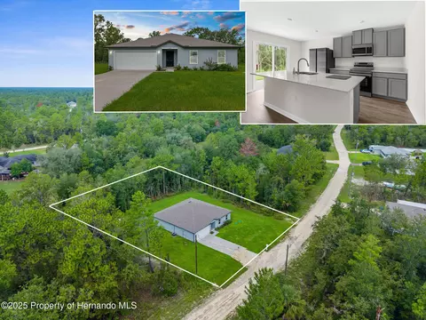 14247 Earline Rd, Weeki Wachee, FL 34614