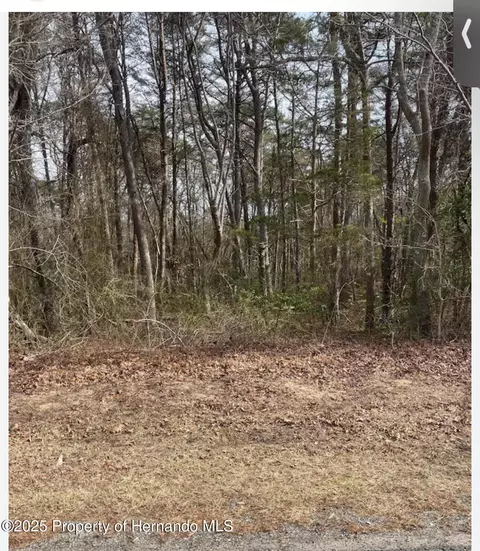 1561 W Gainsboro Ln, Citrus Springs, FL 34434