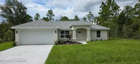 14055 Red Marlin Ave, Brooksville, FL 34614