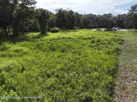 290 Suzanne Dr, Spring Hill, FL 34607 photo 15