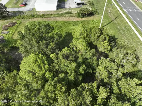 290 Suzanne Dr, Spring Hill, FL 34607 photo 3