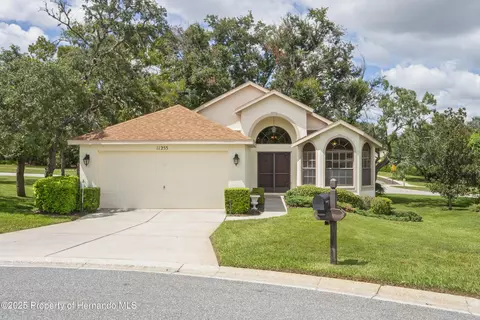 11255 Copley Ct, Spring Hill, FL 34609