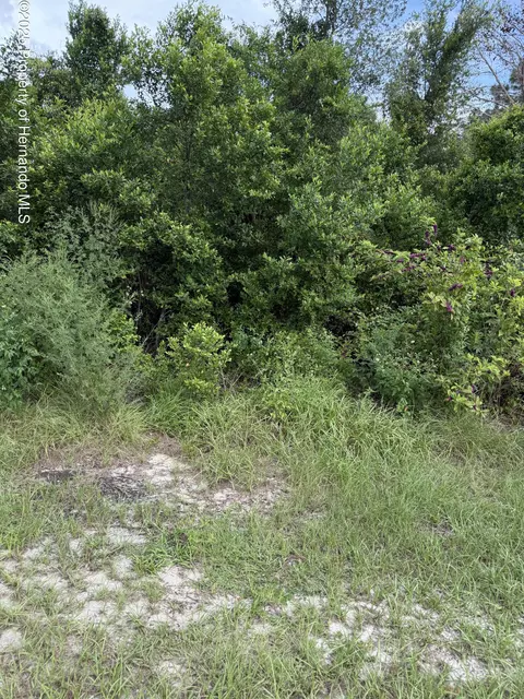 3699 Dothan Ave, Spring Hill, FL 34609 photo 1