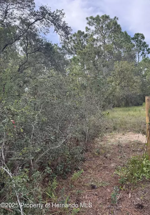 . Scooby Road, Brooksville, FL 34604