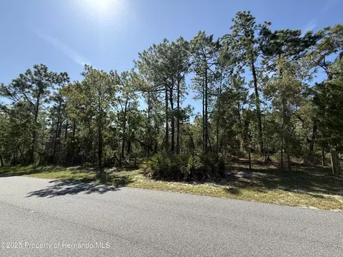 0 Michigan Ave, Weeki Wachee, FL 34613
