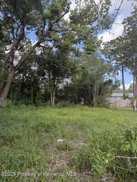 3219 Welsh St, Spring Hill, FL 34606