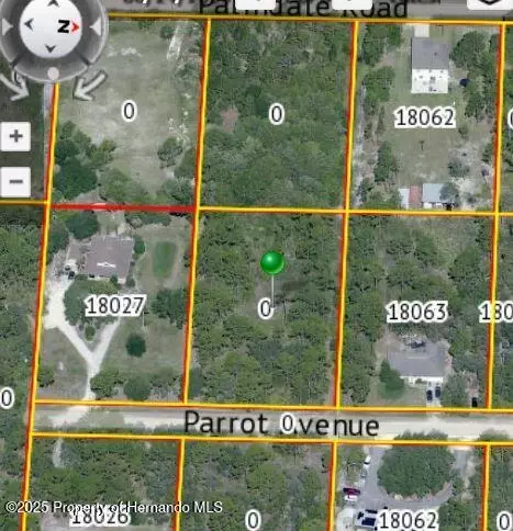 lot9 Parrot Rd, Weeki Wachee, FL 34614