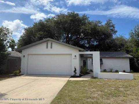 10401 Leaning Oak Dr, Port Richey, FL 34668