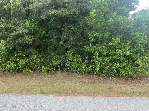 0 Simmons St, Brooksville, FL 34613