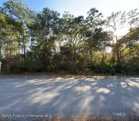0 Waterbird Way, Brooksville, FL 34613