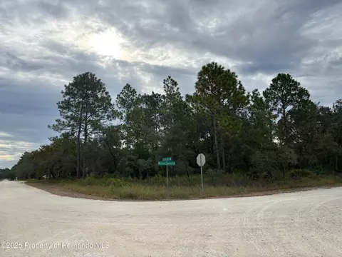 lot1 Missouri Skylark Rd, Weeki Wachee, FL 34614