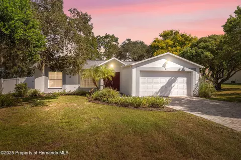 13213 Little Farms Dr, Spring Hill, FL 34609