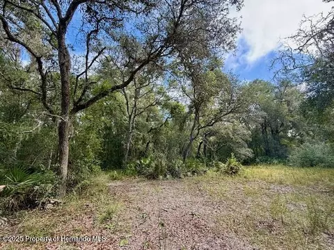 0 Gresham Rd, Webster, FL 33597