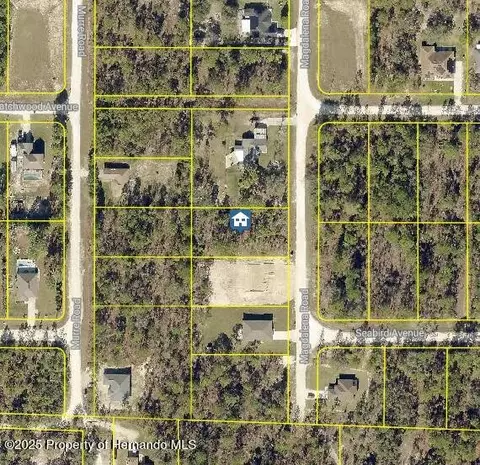 lot14 Magdalena Rd, Weeki Wachee, FL 34614