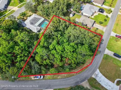 11148 Gifford Dr, Spring Hill, FL 34608