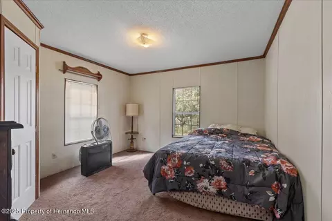 4945 SW 358 Hwy, Steinhatchee, FL 32359 photo 17