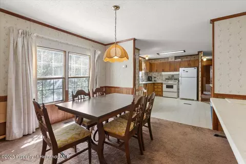 4945 SW 358 Hwy, Steinhatchee, FL 32359 photo 9