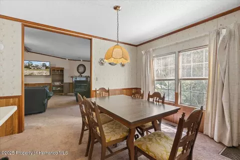 4945 SW 358 Hwy, Steinhatchee, FL 32359 photo 10
