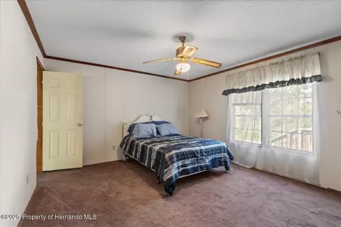4945 SW 358 Hwy, Steinhatchee, FL 32359 photo 15