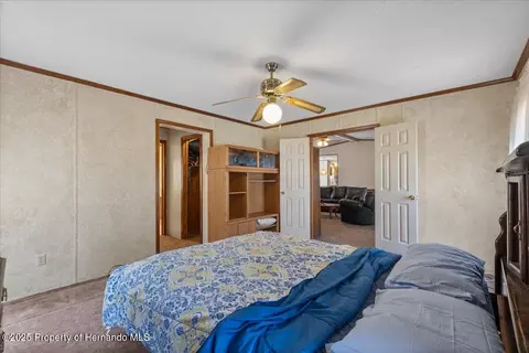 4945 SW 358 Hwy, Steinhatchee, FL 32359 photo 11