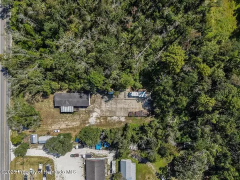 4945 SW 358 Hwy, Steinhatchee, FL 32359 photo 29