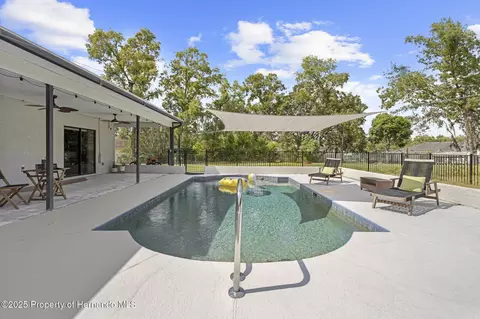 11717 Trumbull Dr, Spring Hill, FL 34609 photo 59