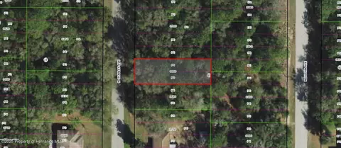 267 N Charles Ave, Inverness, FL 34453