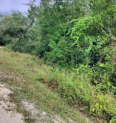 0 Harmony Dr, Ridge Manor, FL 33523