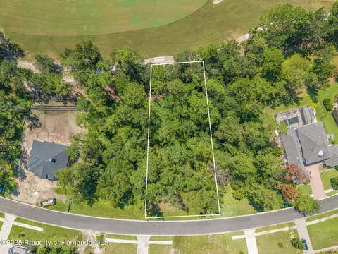 19594 Sterling Bluff Way, Brooksville, FL 34601