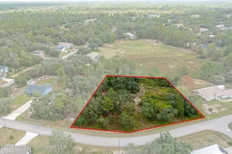 00 Marbled Godwit Rd, Weeki Wachee, FL 34614