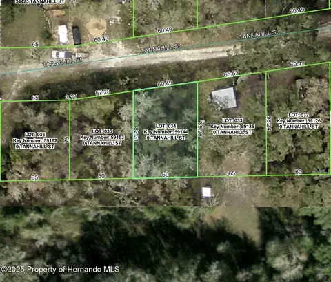 0 Tannahill St, Dade City, FL 33523
