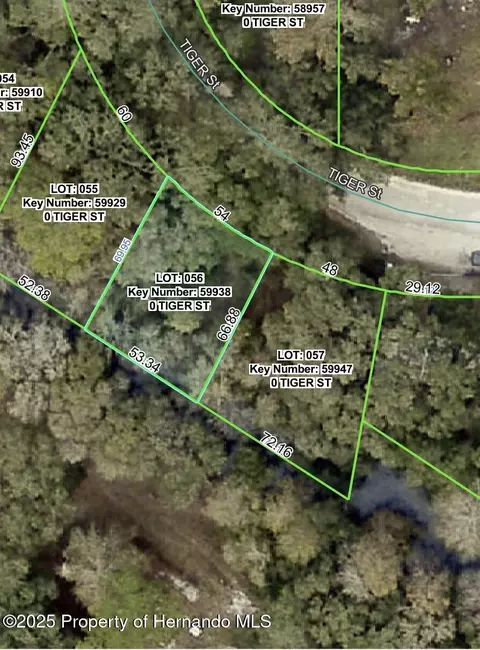 0 Tiger St, Dade City, FL 33523