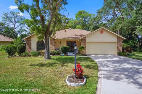 6421 Pine Meadows Dr, Spring Hill, FL 34606