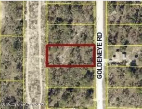 0 Goldeneye Rd, Weeki Wachee, FL 34614