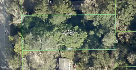 0 Young St, Brooksville, FL 34601