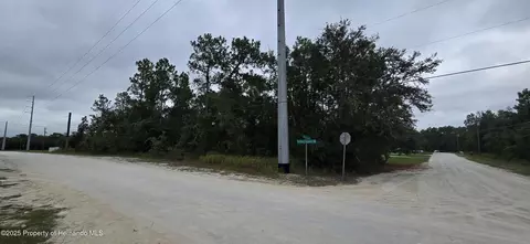 0 Canada Goose Rd, Weeki Wachee, FL 34614 photo 2