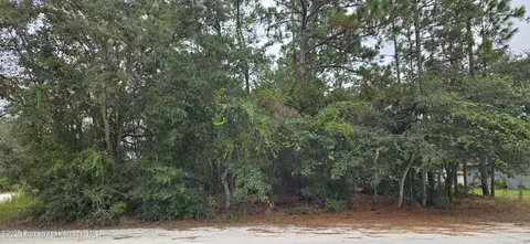 0 Canada Goose Rd, Weeki Wachee, FL 34614