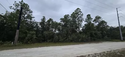 0 Canada Goose Rd, Weeki Wachee, FL 34614 photo 4