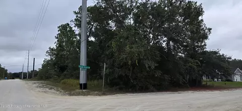 0 Canada Goose Rd, Weeki Wachee, FL 34614 photo 3